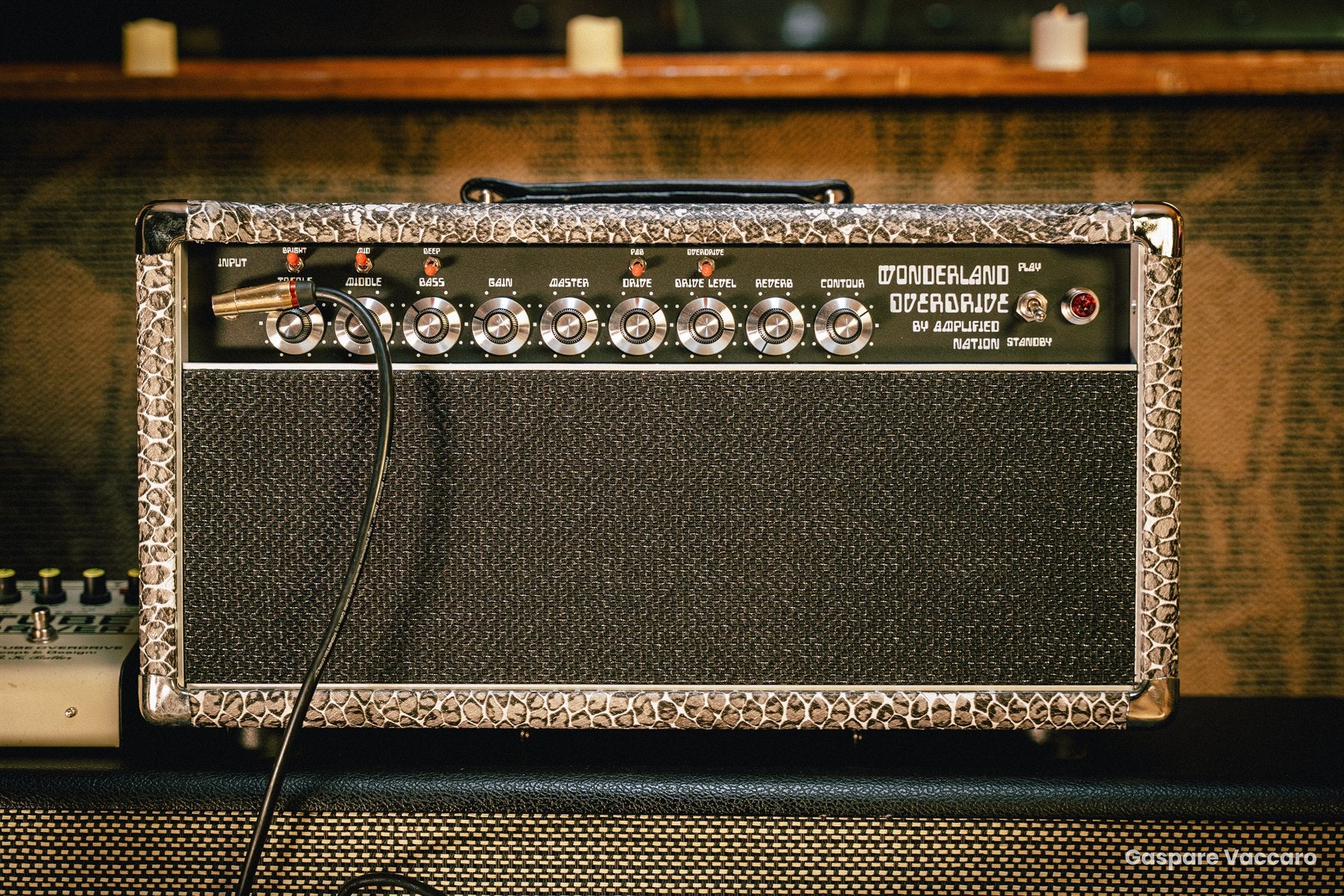 Amplified Nation Wonderland Overdrive head