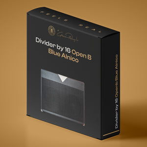 212 DIVIDER BY 16 OPENB BLUE ALNICO
