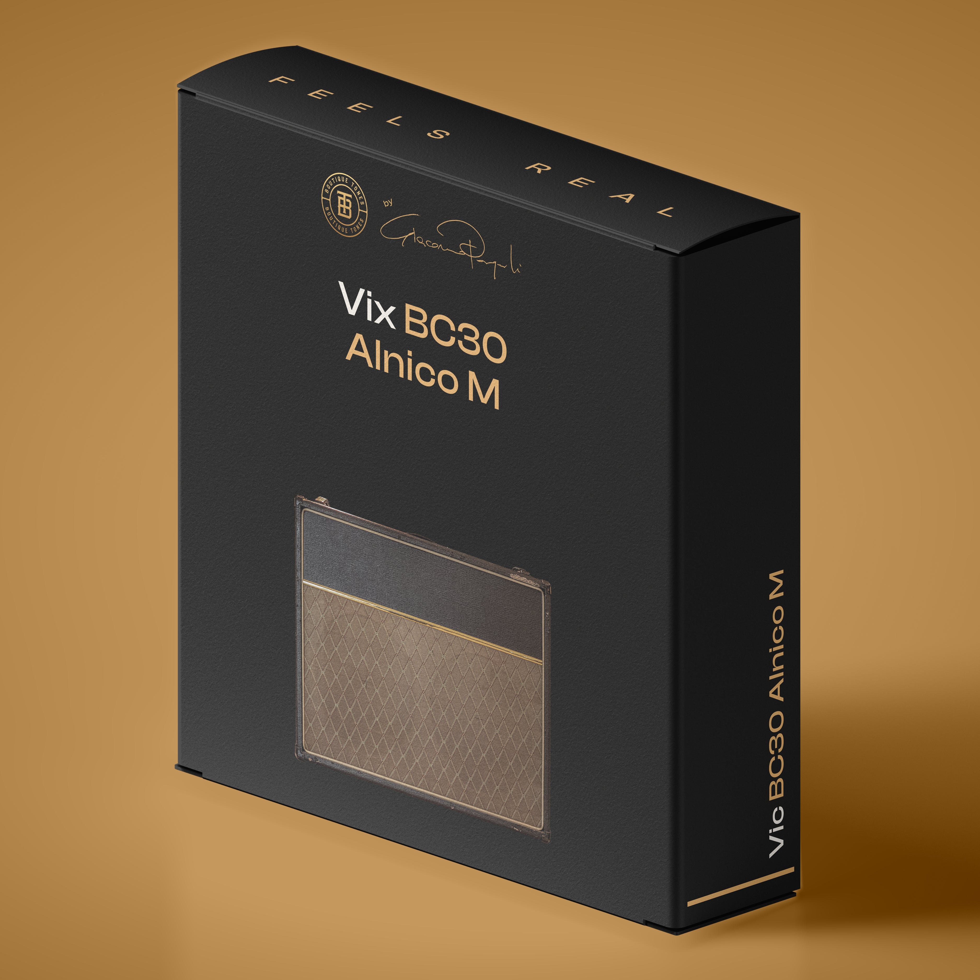 212 VIX BC30 ALNICO M