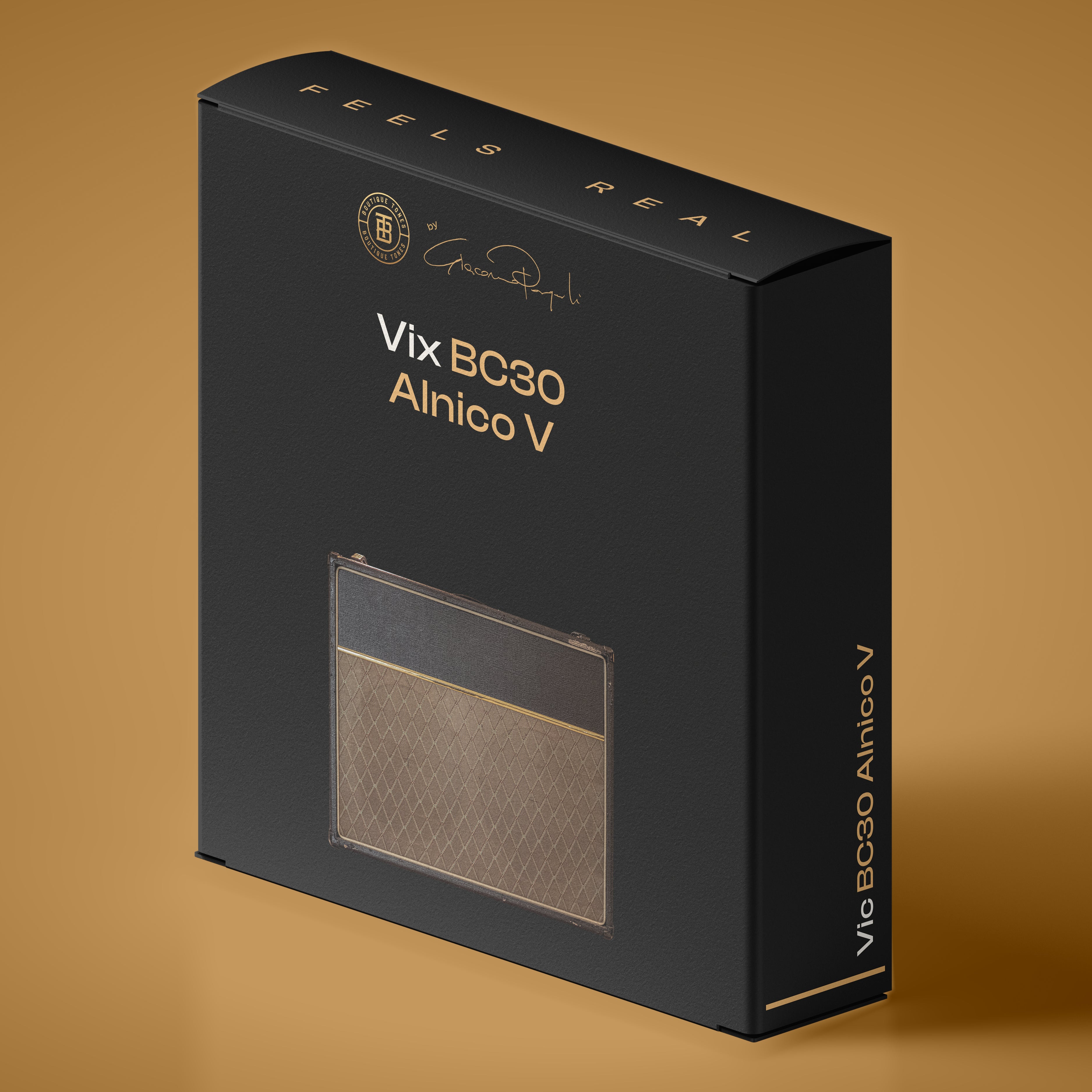 212 VIX BC30 ALNICO V