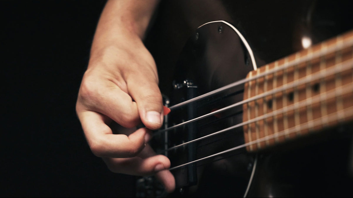BT Bass Collection